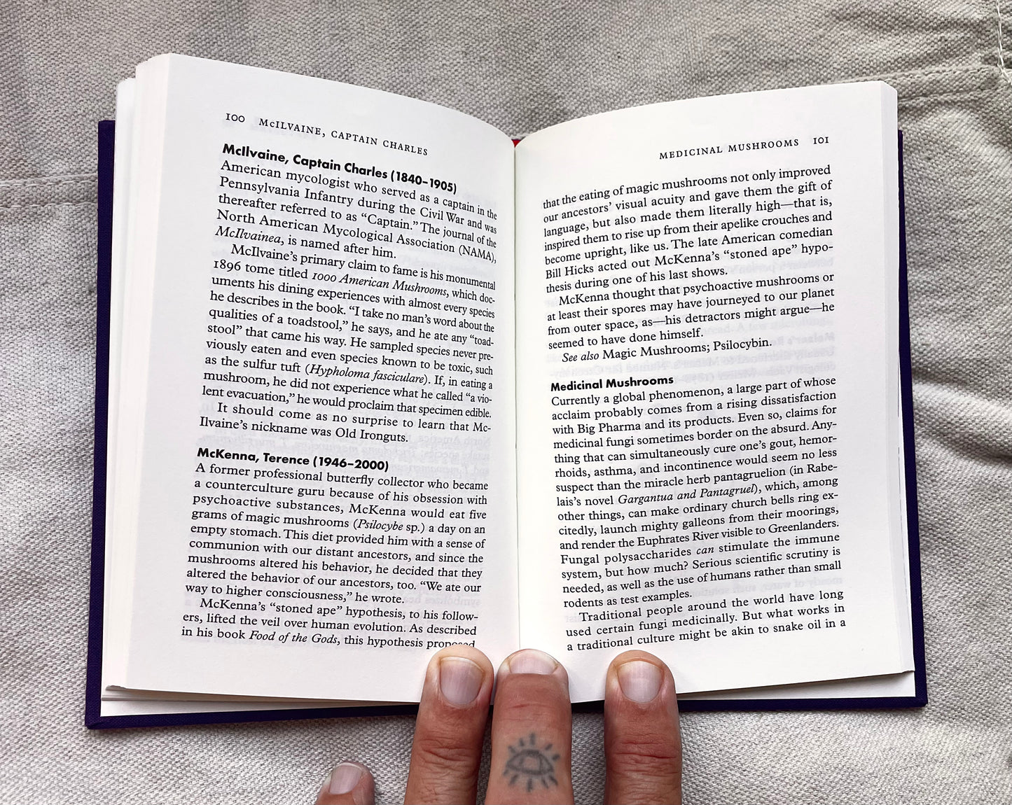 Fungipedia - A Brief Compendium of Mushroom Lore Book By Lawrence Millman