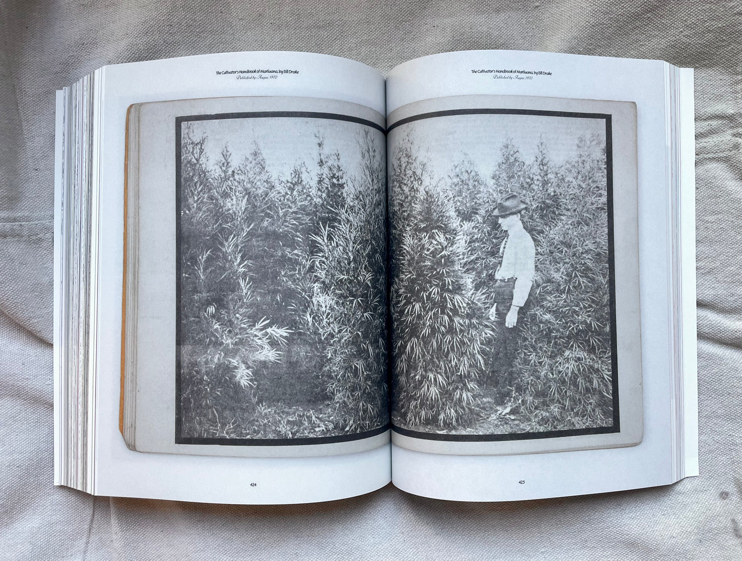 Heads Together - Weed and the Underground Press Syndicate 1965-1973 Book