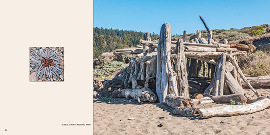 Driftwood Shacks Book by Lloyd Khan