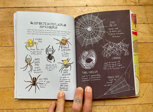 Nature Anatomy Book by Julia Rothman