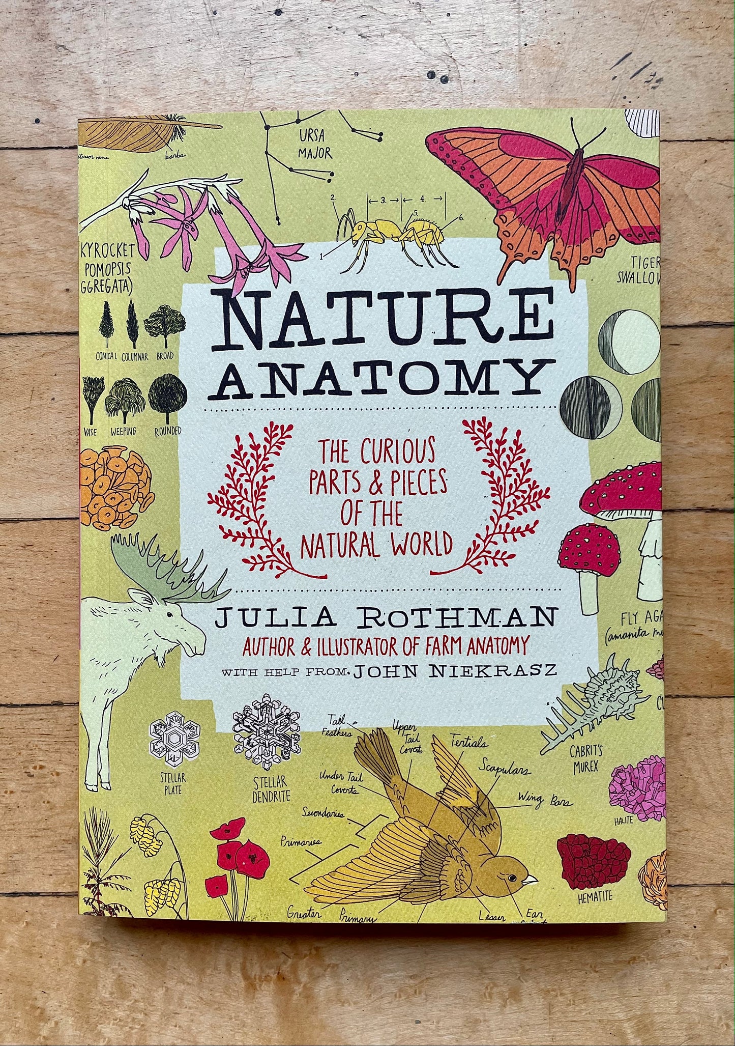 Nature Anatomy Book by Julia Rothman