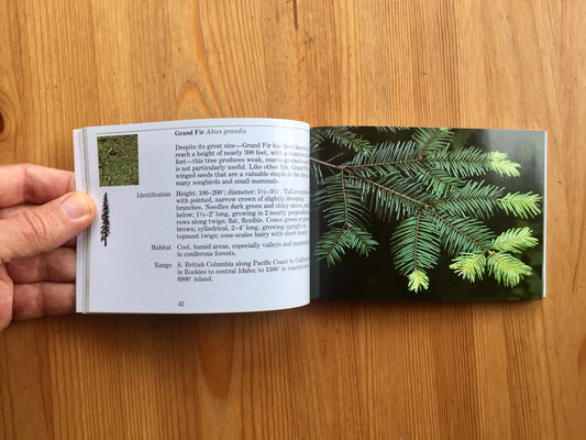 National Audubon Society Familiar Trees of North America (West) Pocket Guide Book