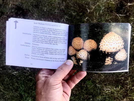 National Audubon Society Pocket Guide Familiar Mushrooms Book