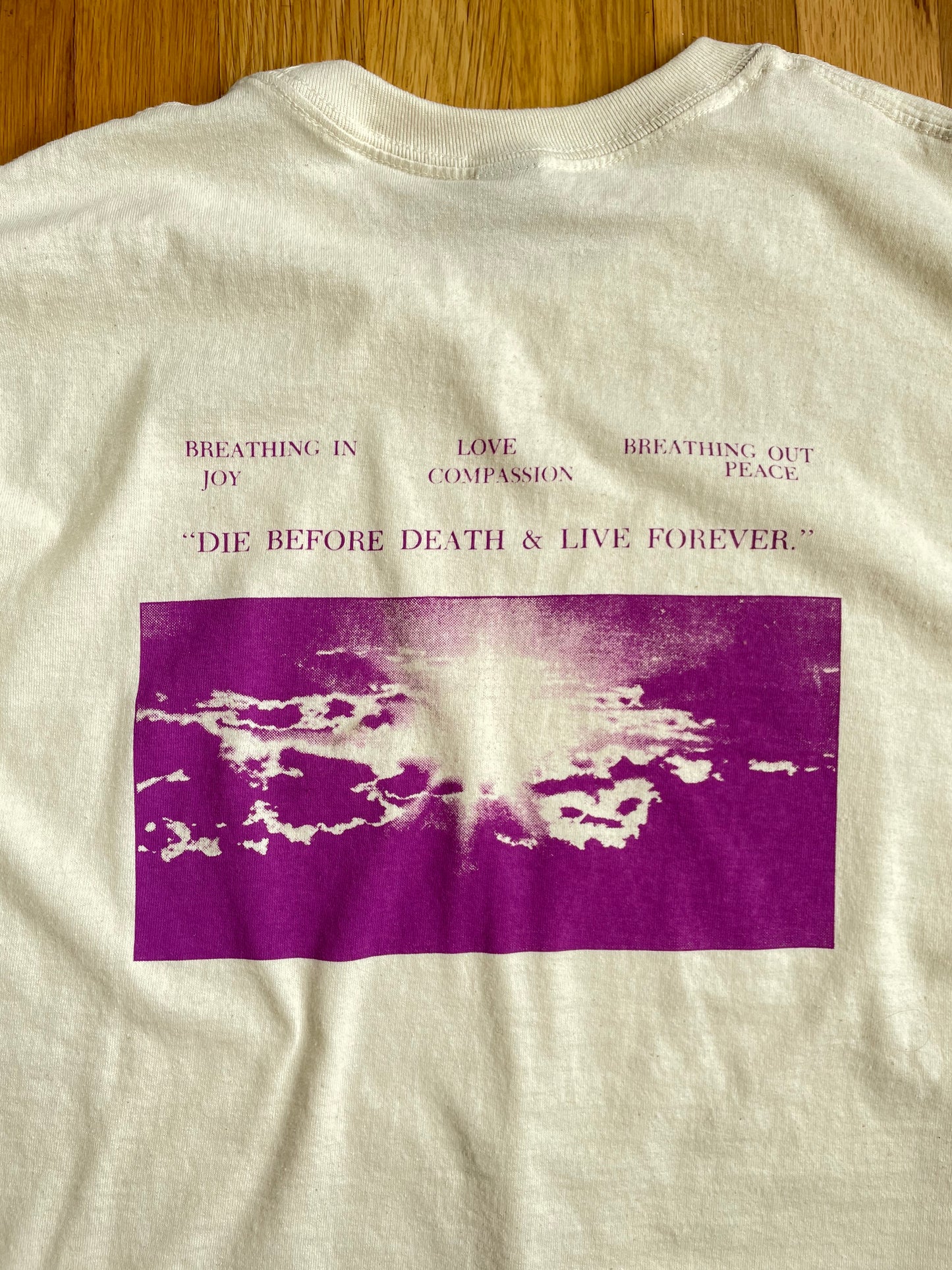 No Security Longsleeve Tee Shirt