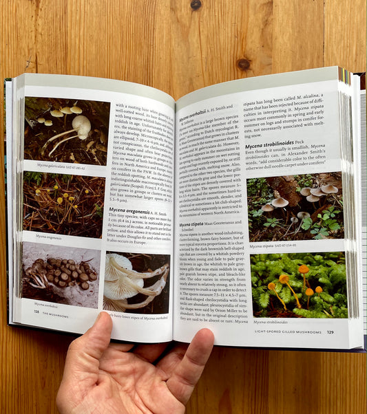 Mushrooms of the Pacific Northwest Book