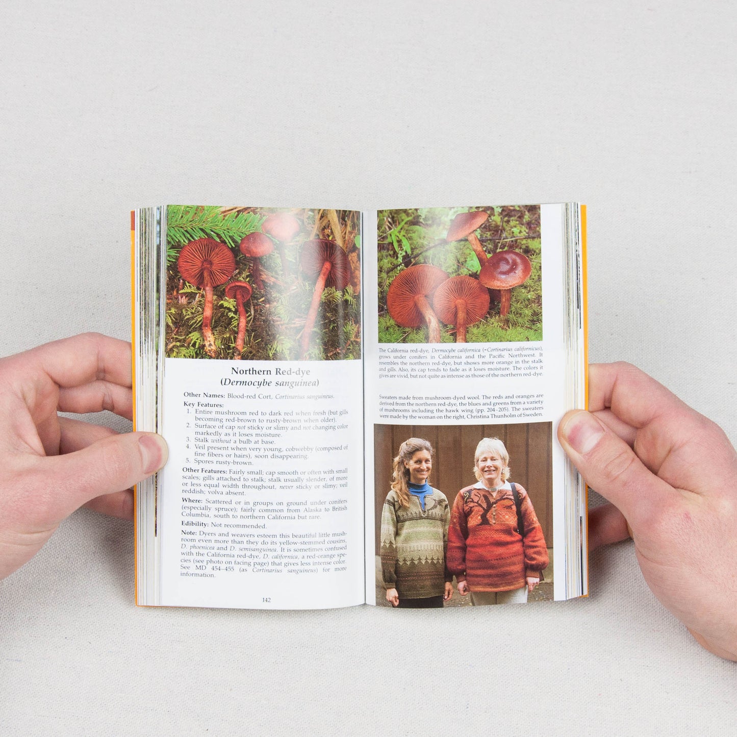 All That the Rain Promises and More Book (Mushrooms)