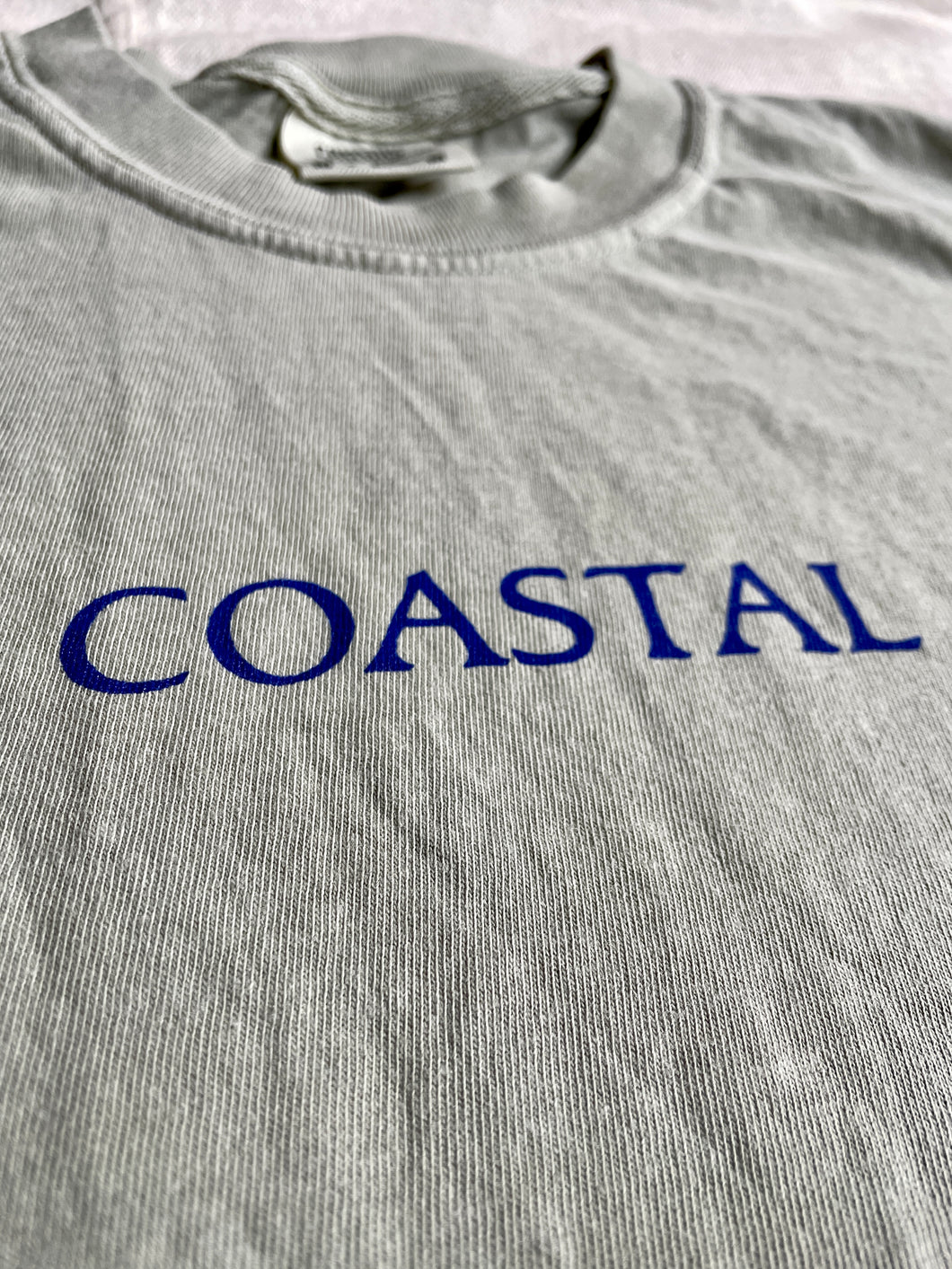 Coastal Long Sleeve Tee Shirt-2 Colors