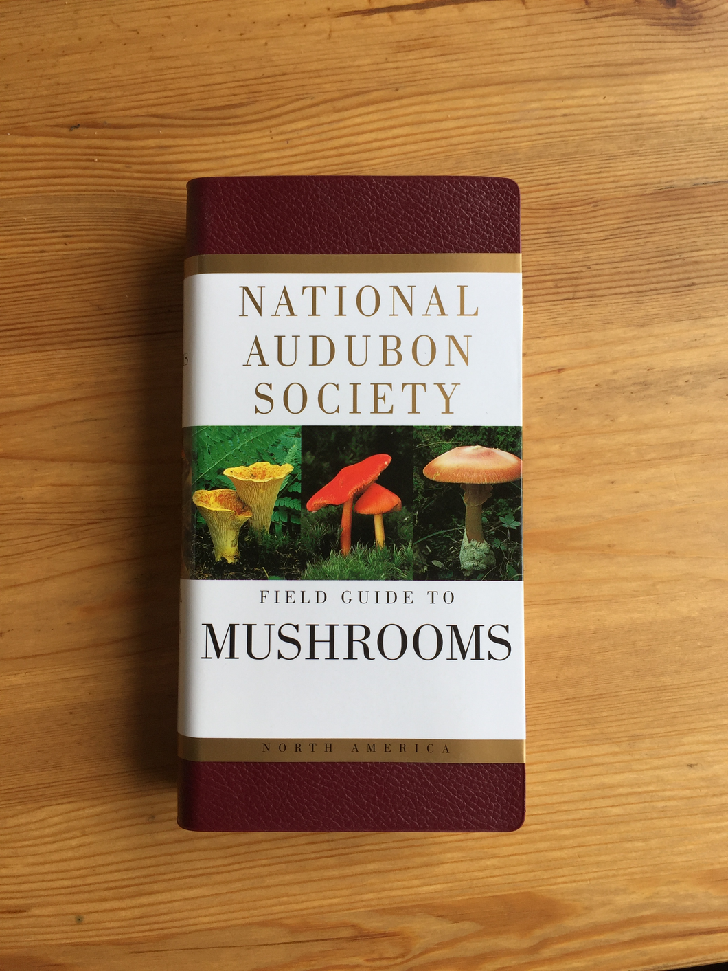 National Audubon Society Field Guide to Mushrooms North America Book