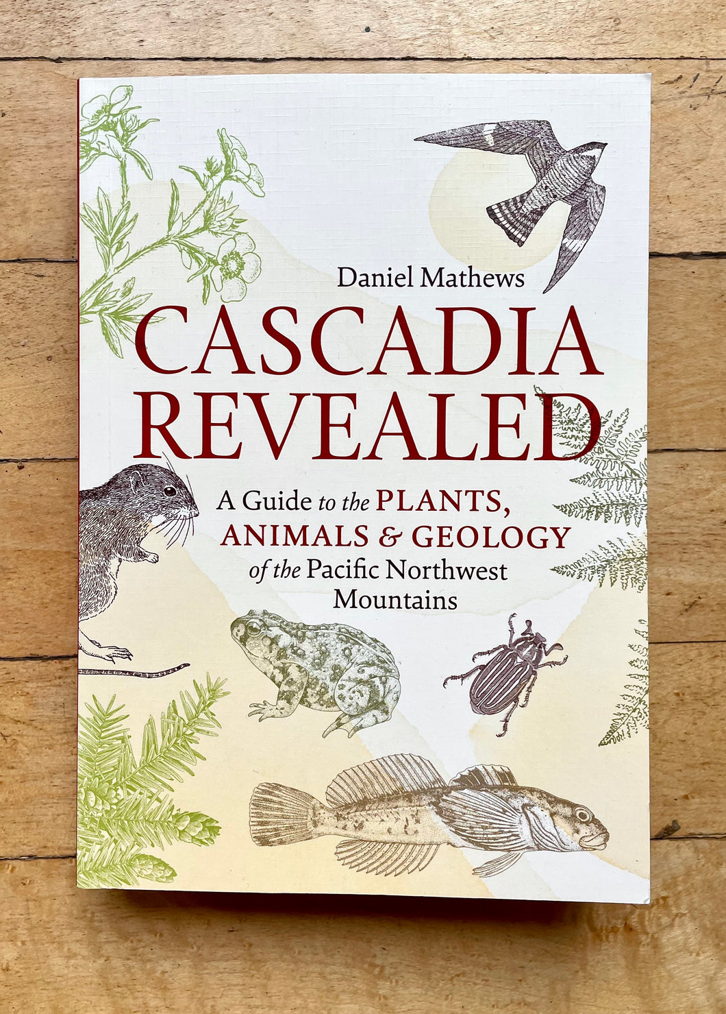 Cascadia Revealed A Guide to the Plants, Animals, and Geology of the Pacific Northwest Mountains Book by Daniel Mathews