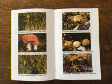 Magic Mushrooms of the Pacific Northwest Booklet by Mushroom John