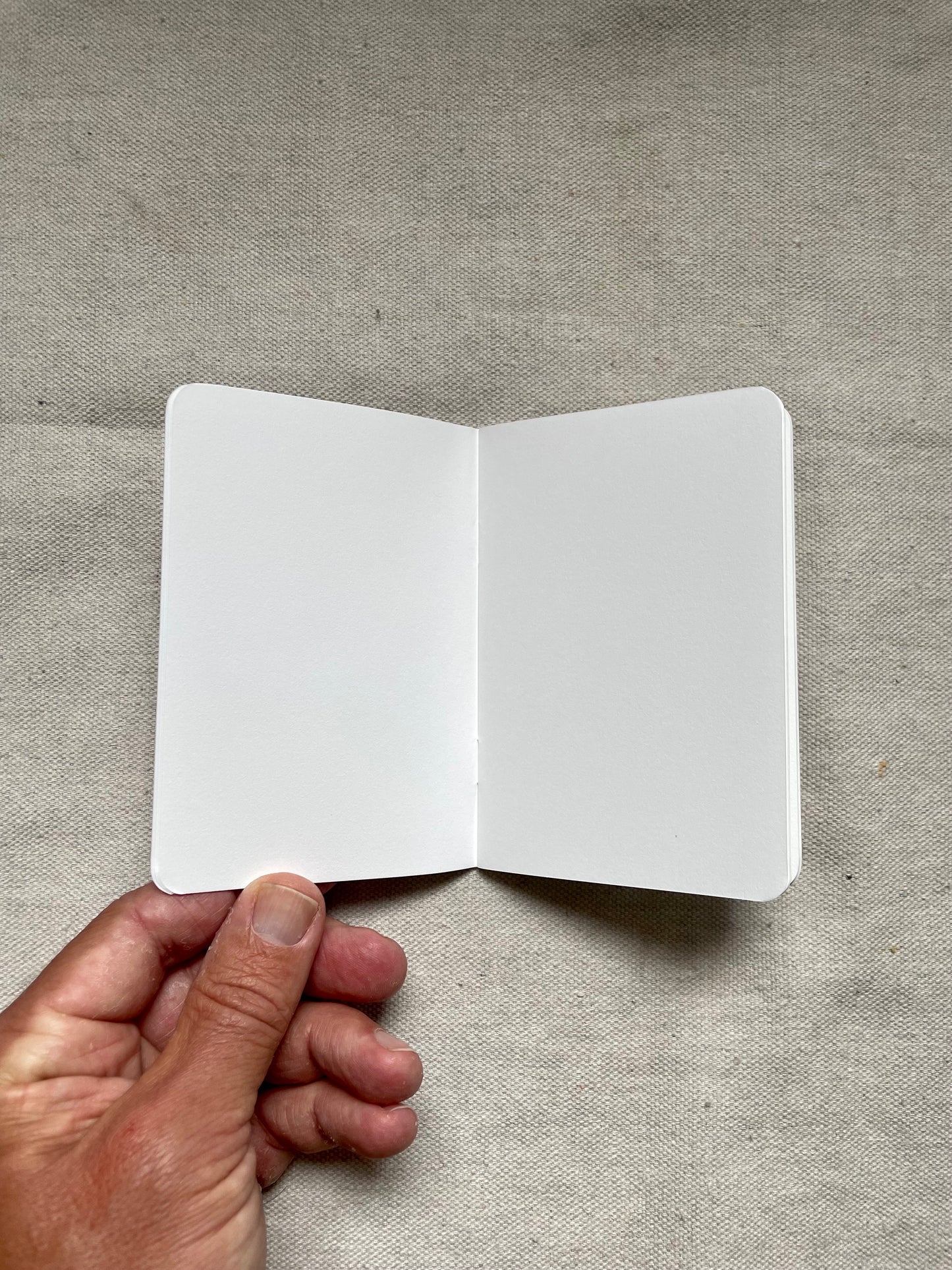 Meditation and Psychedelics Blank Mini Notebook