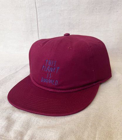 This Planet is Doomed Hat- 3 colors