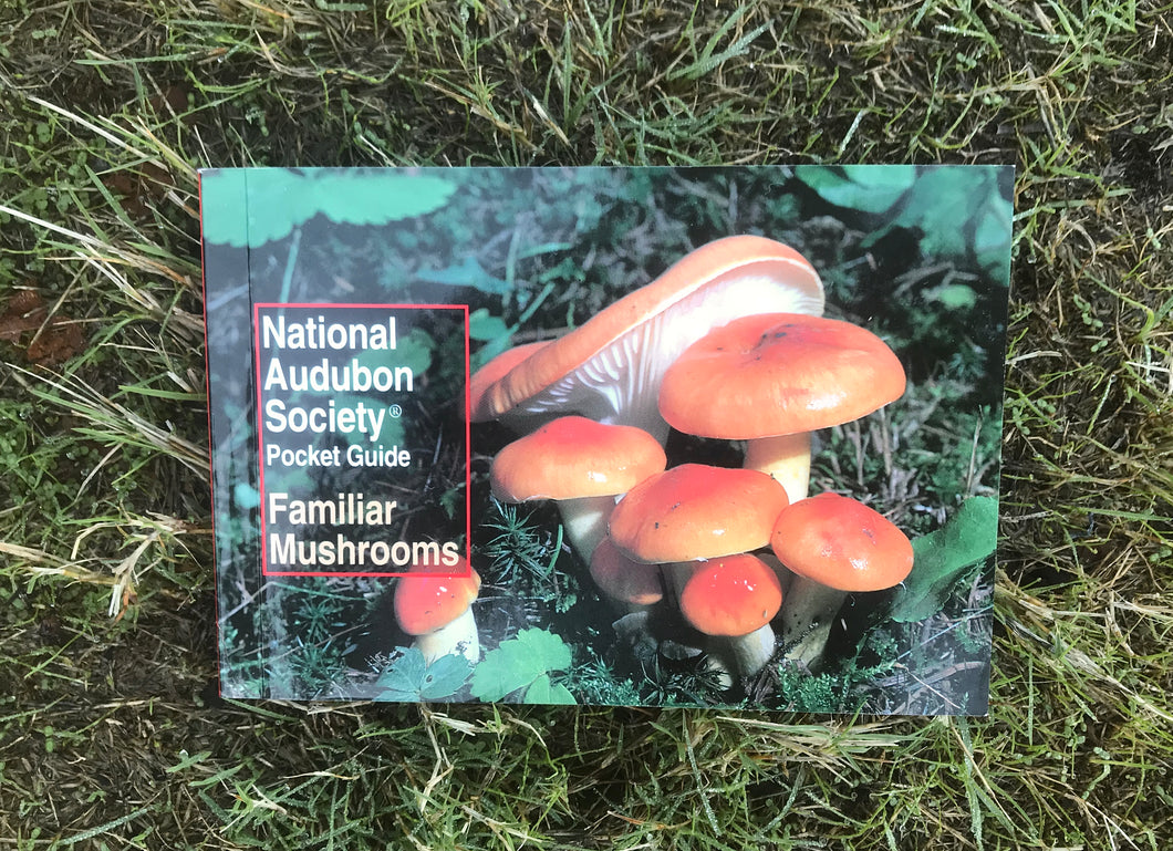 National Audubon Society Pocket Guide Familiar Mushrooms Book