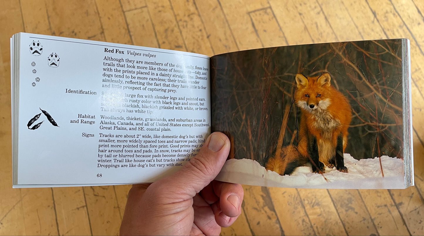 National Audubon Society Pocket Guide: Familiar Animal Tracks of North America Book