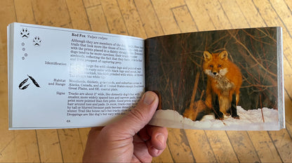 National Audubon Society Pocket Guide: Familiar Animal Tracks of North America Book