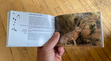 National Audubon Society Pocket Guide: Familiar Animal Tracks of North America Book