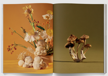 Mushroom People Magazine by Broccoli