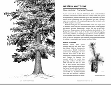 Northwest Trees Book
