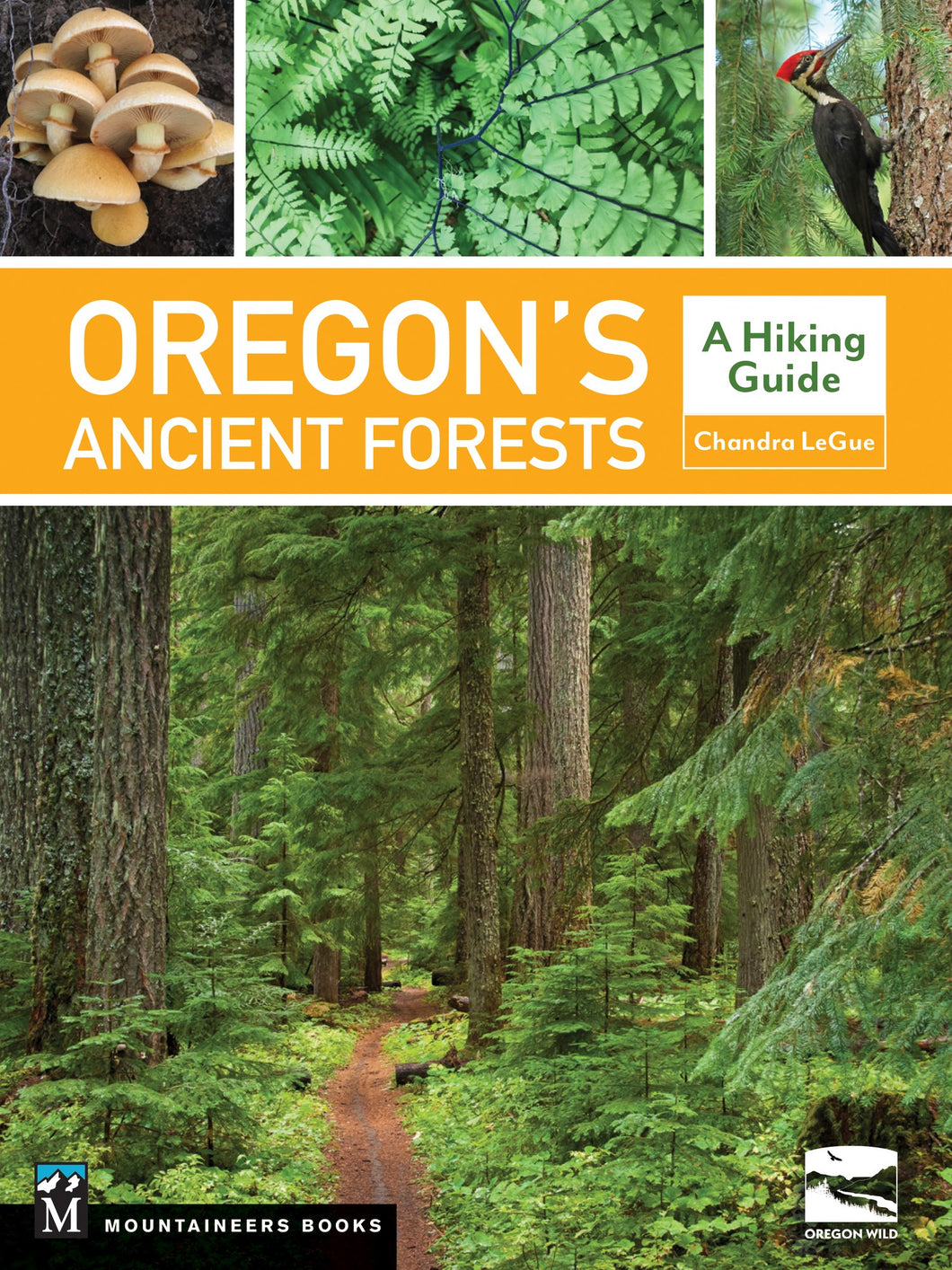 Oregon's Ancient Forests Book by by Chandra LeGue and Oregon Wild