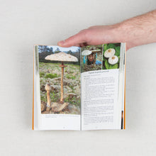 All That the Rain Promises and More Book (Mushrooms)